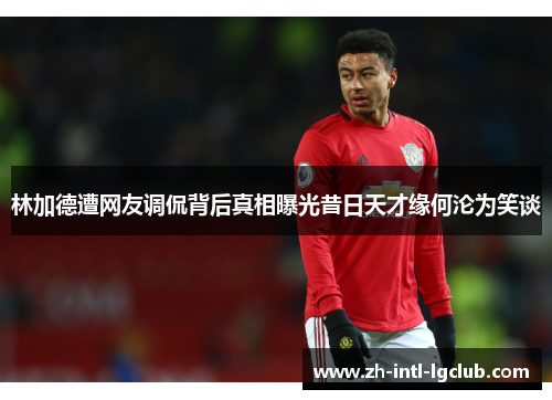 林加德遭网友调侃背后真相曝光昔日天才缘何沦为笑谈