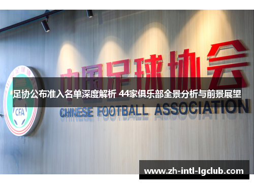 足协公布准入名单深度解析 44家俱乐部全景分析与前景展望