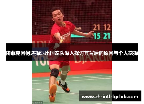 陶菲克因何选择退出国家队深入探讨其背后的原因与个人抉择