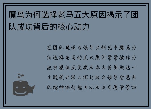魔鸟为何选择老马五大原因揭示了团队成功背后的核心动力